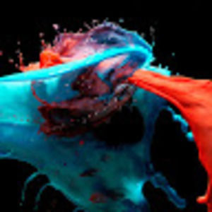 Meet your Posher, Angel